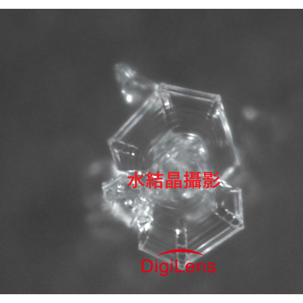 digilens 攜帶型水結晶顯微鏡 生命的荅案水知道.png